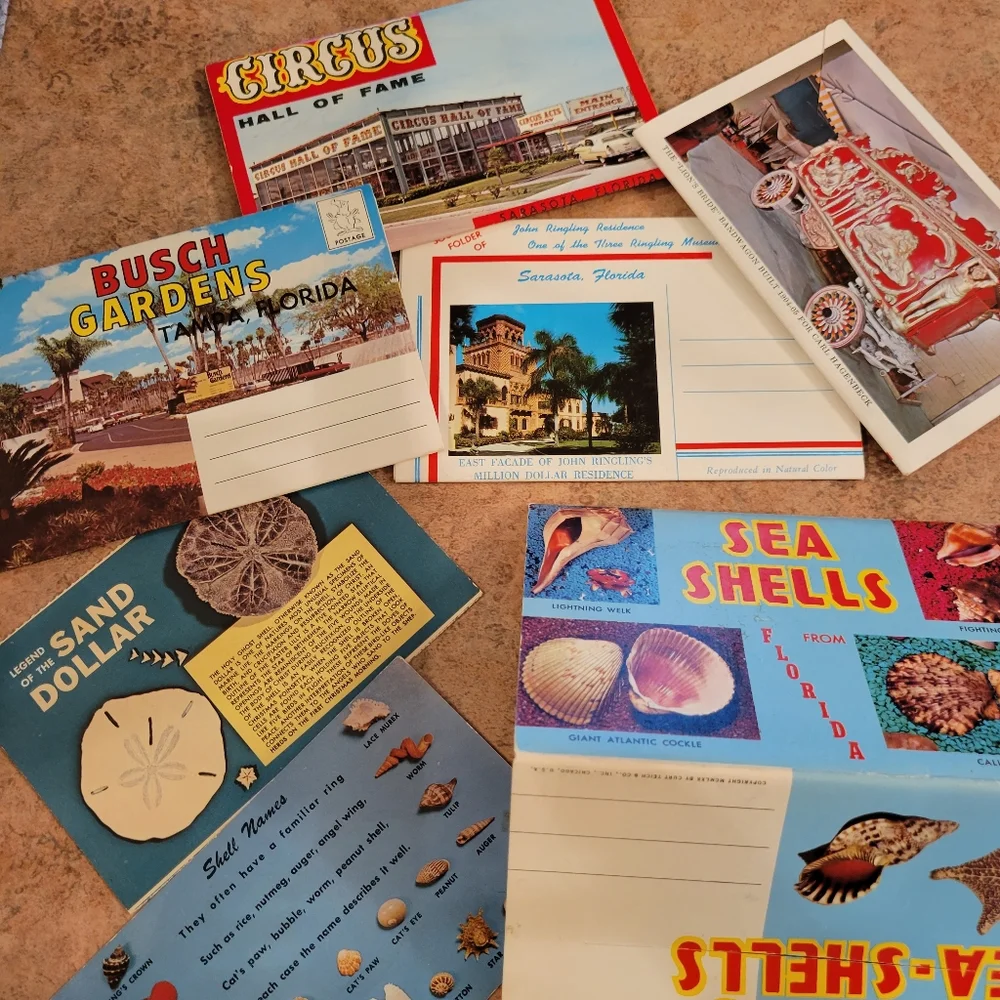 Vintage Postcard Booklets from Florida ~ Circus ~ Seashells ~ Retro!